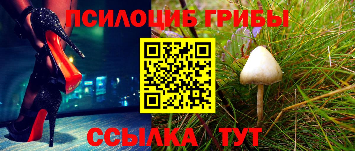 Псилоцибиновые грибы ЛСД Новокубанск