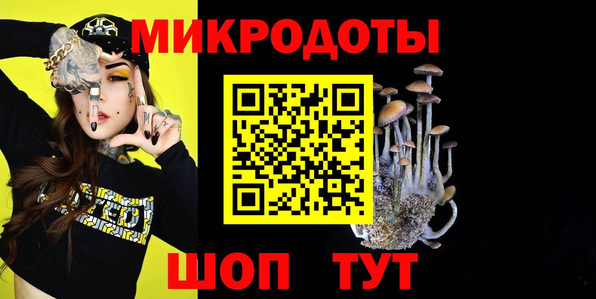 Галлюциногенные грибы MAGIC MUSHROOMS  купить   Новокубанск  Вход с VPN  Псилоцибиновые грибы MAGIC MUSHROOMS 